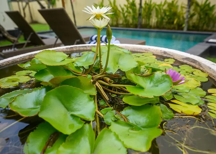 Villa Lucky Lily Sanur